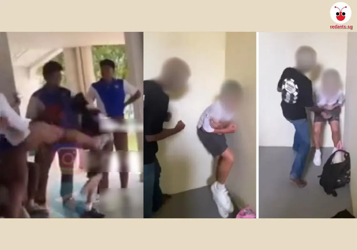 以大欺小，丢不丢脸啊？（红蚂蚁制图）