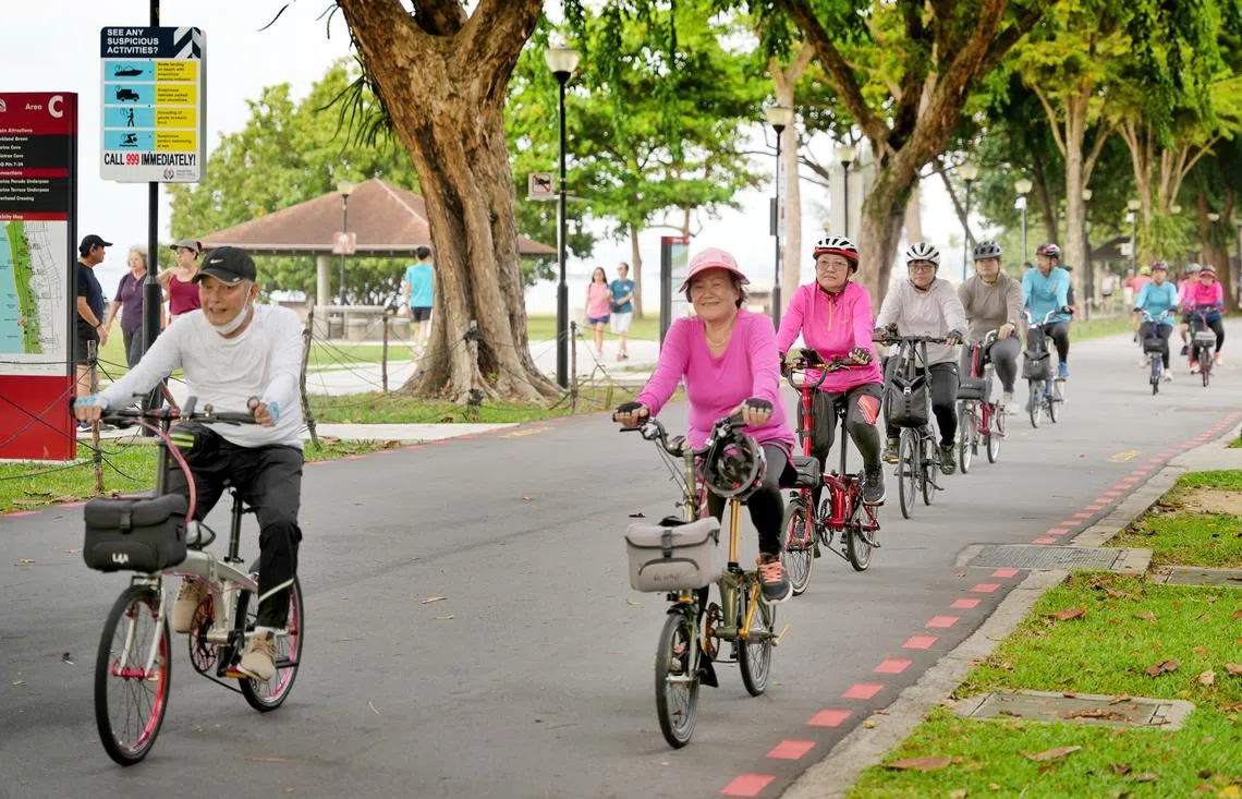 本地乐龄人士在东海岸公园骑脚踏车。（联合早报）