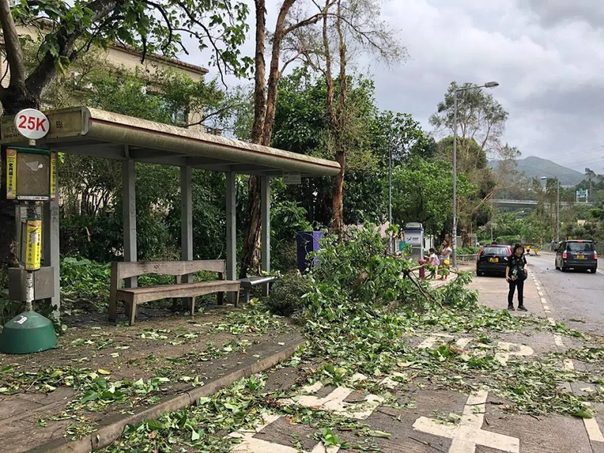  巴士车站被倒下的树击中，乘客干脆走到路中央拦巴士。（卢丽珊摄） 