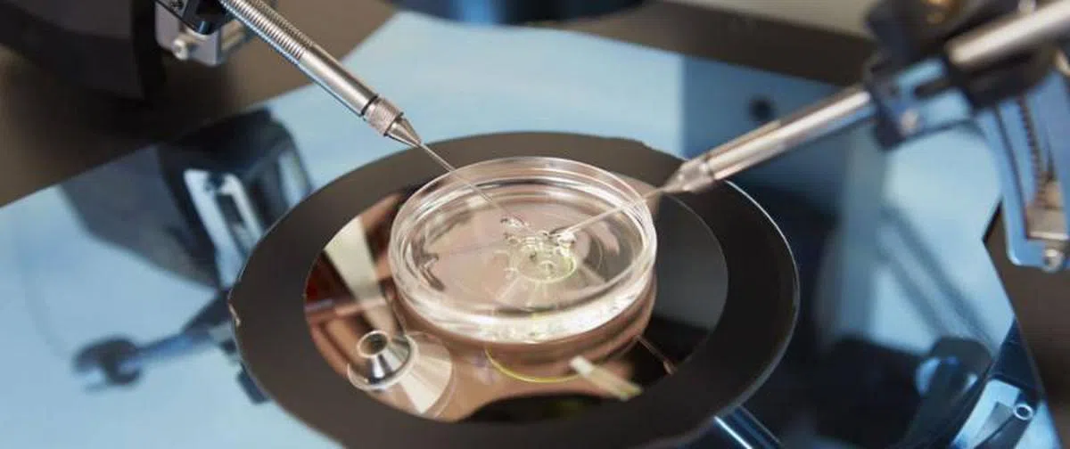  以色列拥有全球最顶尖的人工受孕技术。（互联网） 