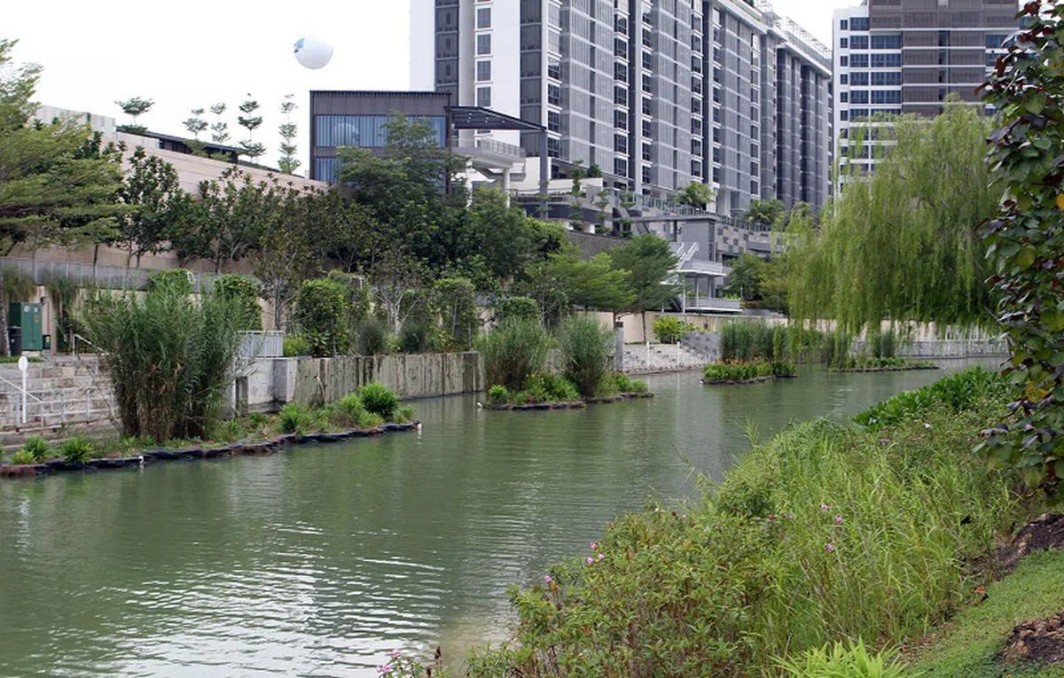  榜鹅区是新加坡“最年轻”的新市镇。《每日新闻》 