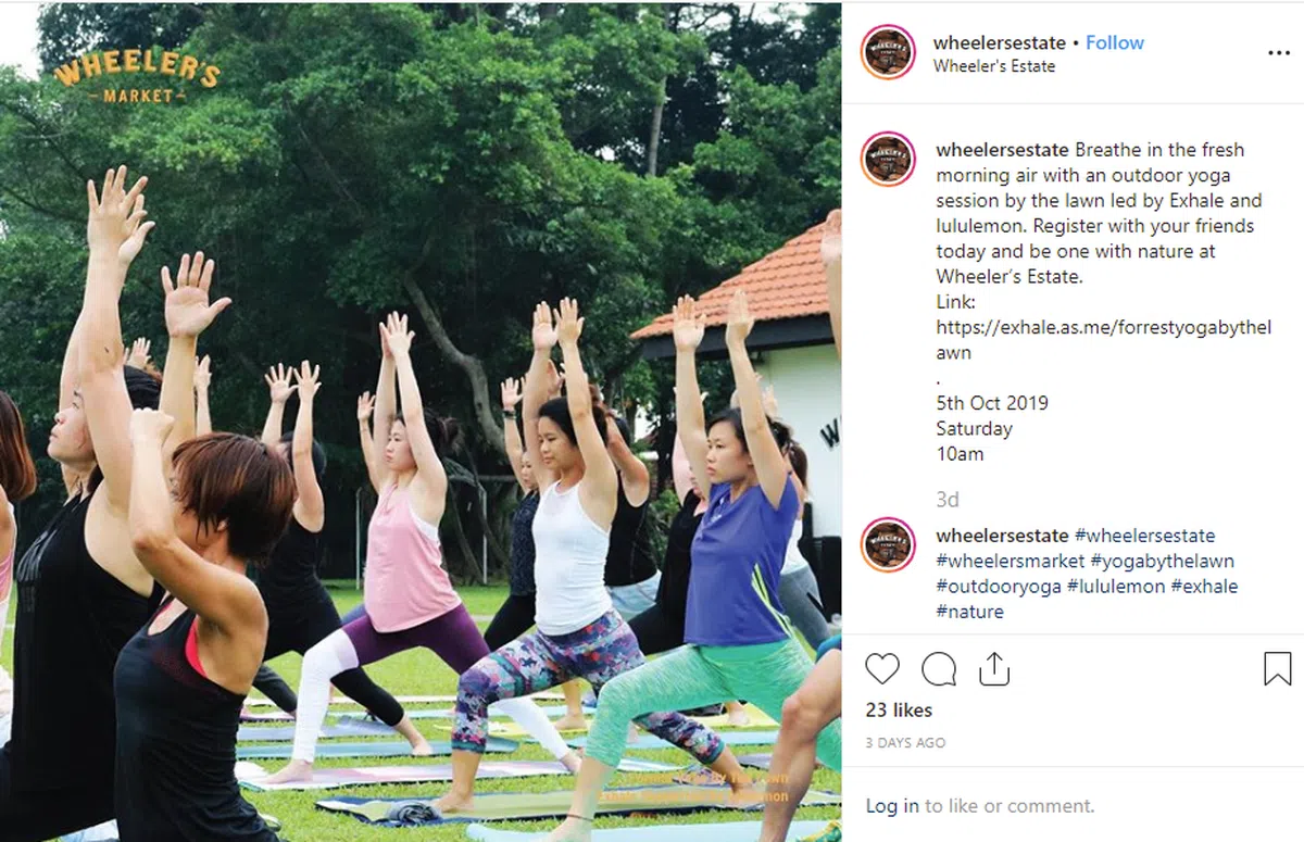  （Wheeler’s Estate Instagram截图） 