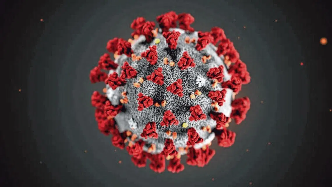 由于冠病疫苗会不断变种，科学家认为，“群体免疫”已经不可能实现。（互联网）
