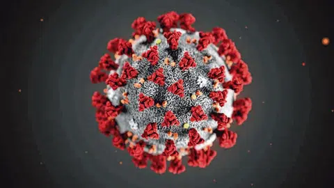 由于冠病疫苗会不断变种，科学家认为，“群体免疫”已经不可能实现。（互联网）
