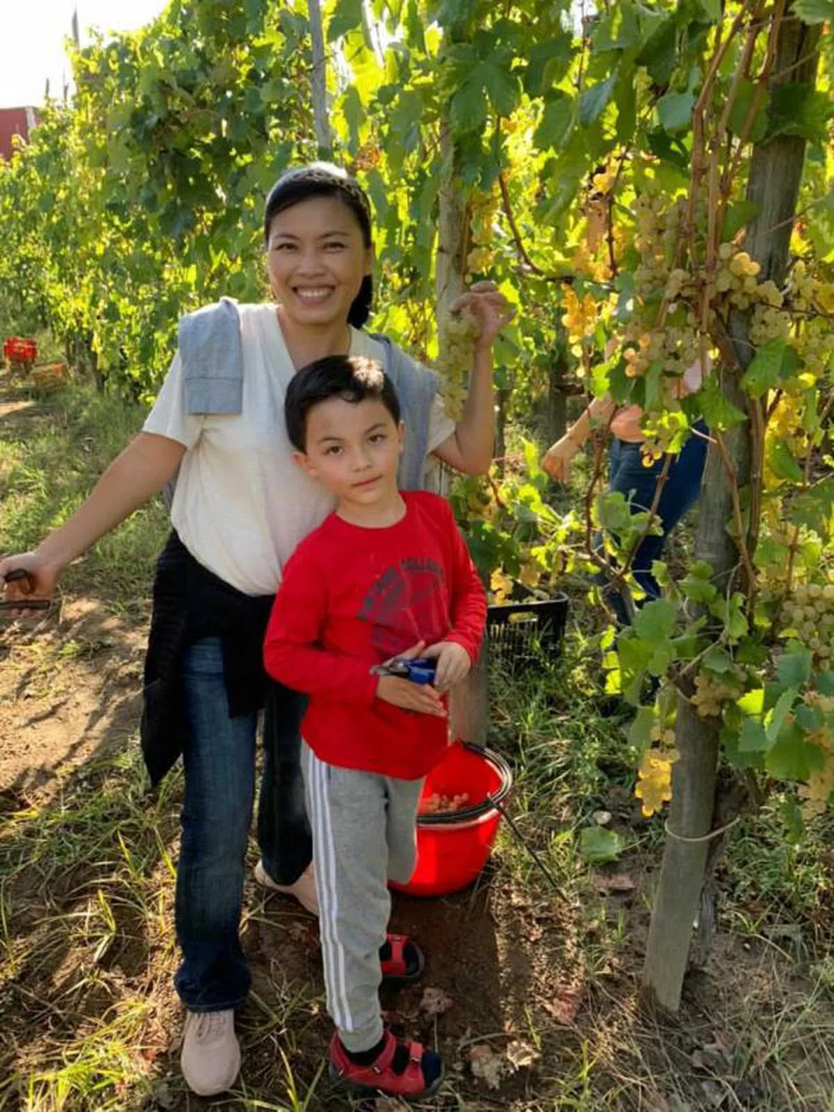 46岁的艺术家和插画家Carlyn Law在本月初和丈夫带着6岁的儿子到意大利探亲，她说，丈夫已经两年多没回国见家人，而明年儿子就要上小学了，所以此行是给大家放一个假。意大利目前接种率为85%，人们也都采取必要的防范措施，如在公共场所戴口罩并勤用洗手液消毒双手。（CARLYN LAW）