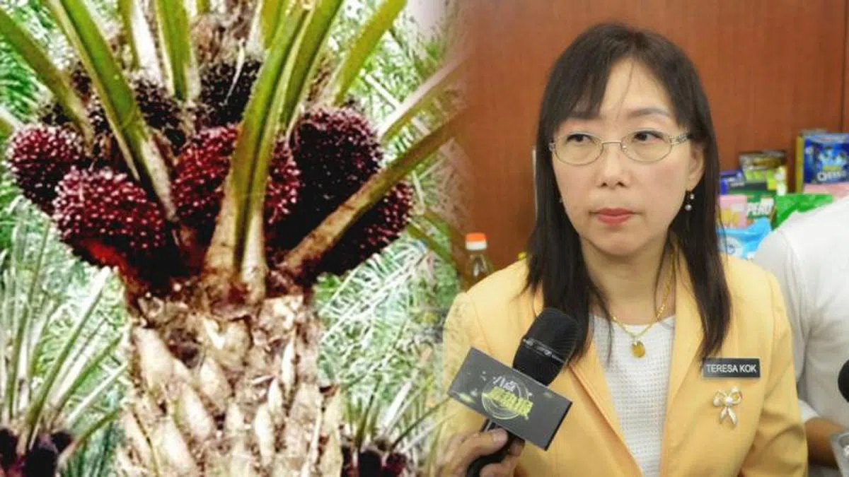  郭素沁：所有马国部长去到外国，在国际论坛发表谈话时，必须捍卫马国棕油业。（光华网） 