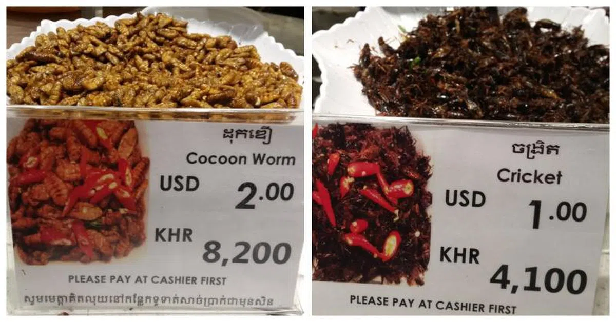 柬埔寨街边售卖的炸蚕蛹和蟋蟀。（互联网）
