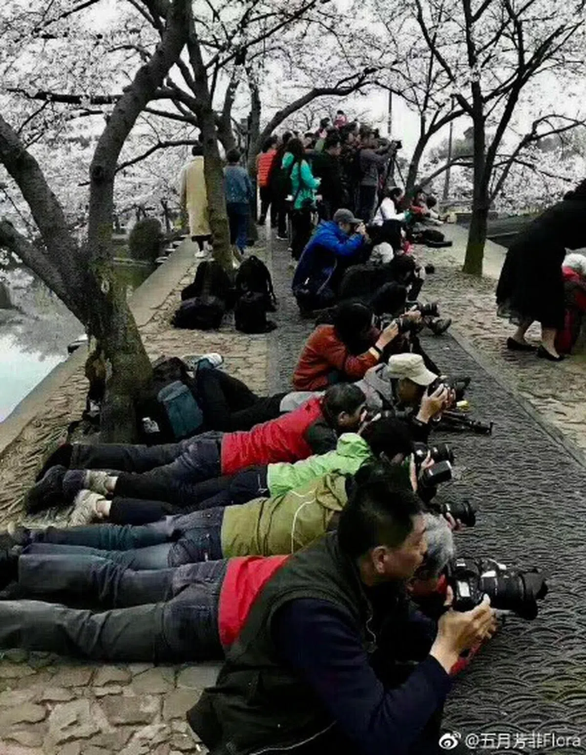  大妈一般的标配是还有帮她们拍照的大爷。（微博） 