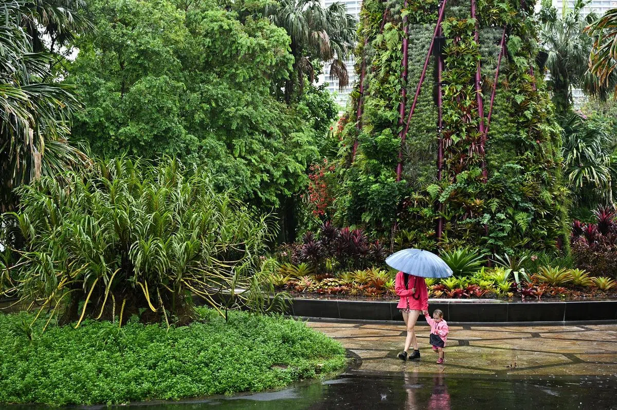雨中的滨海湾花园。（海峡时报）