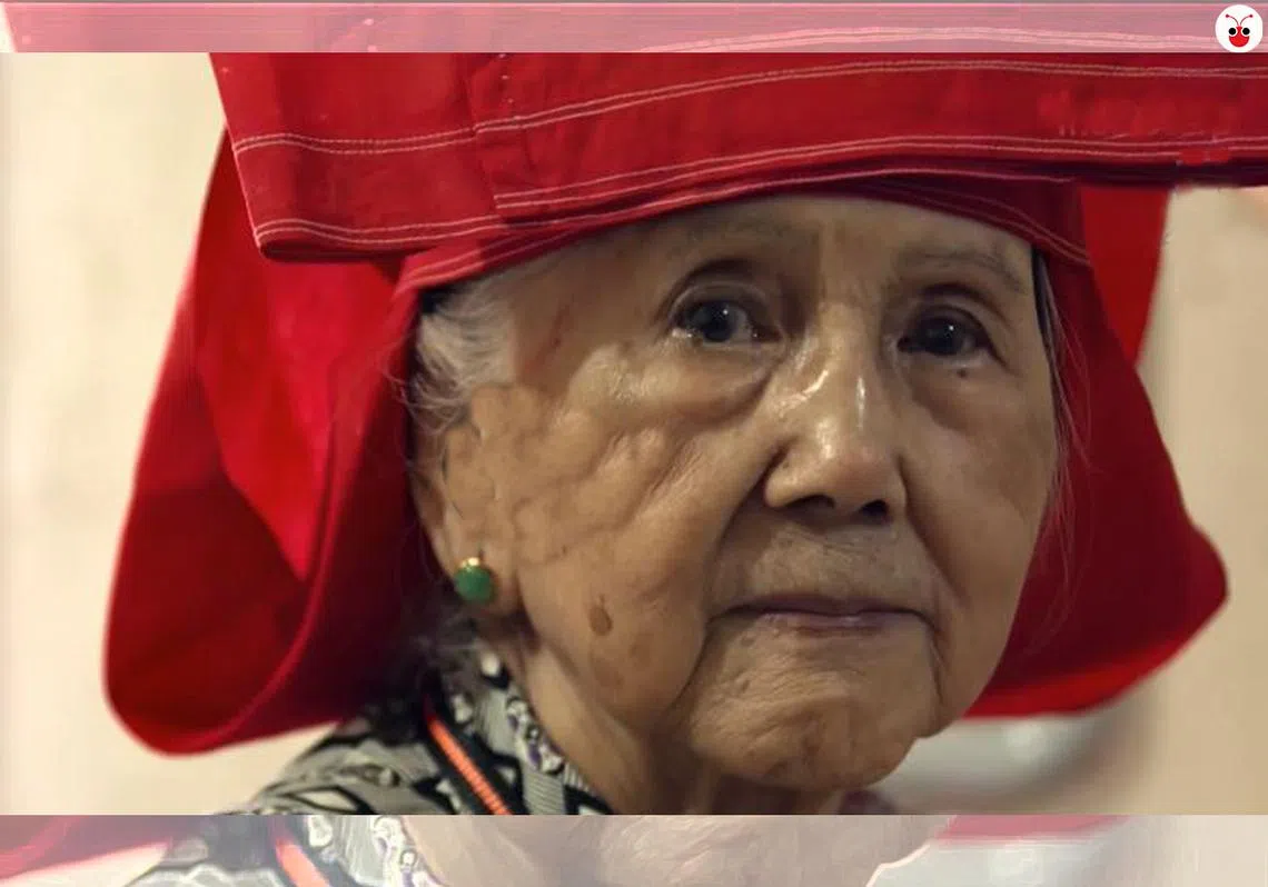 综合媒体报道，胡润心婆婆（Woo Yum Sum）出生在新加坡，祖籍广东三水，是第二代红头巾。她一生未嫁，退休后独居在红山的一房式租赁组屋，平日白天在红山德教老人活动中心与其他长者一起消磨时间。（影片截图）