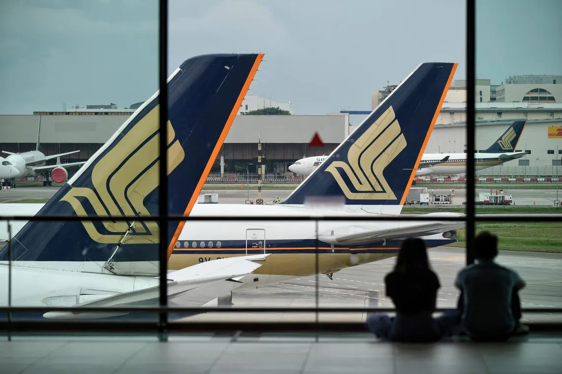 本地航空业已逐渐复苏，但飞往中国的航班依旧稀缺，票价更贵得令人咋舌。（海峡时报）