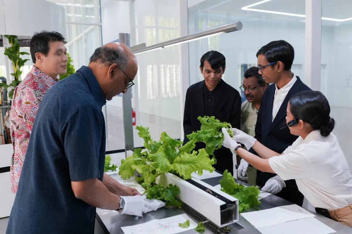 现代汽车集团新加坡创新中心采用先进科技，经营两层楼高的智能室内垂直农场，每日可生产超过30公斤食材，并开放公众参观。图为（左一）总统尚达曼到场参观。（Hyundai Motor Group Innovation Centre Singapore）