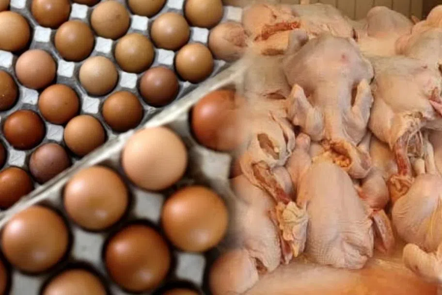 2022年，马国一度闹“鸡荒”及“蛋荒”。