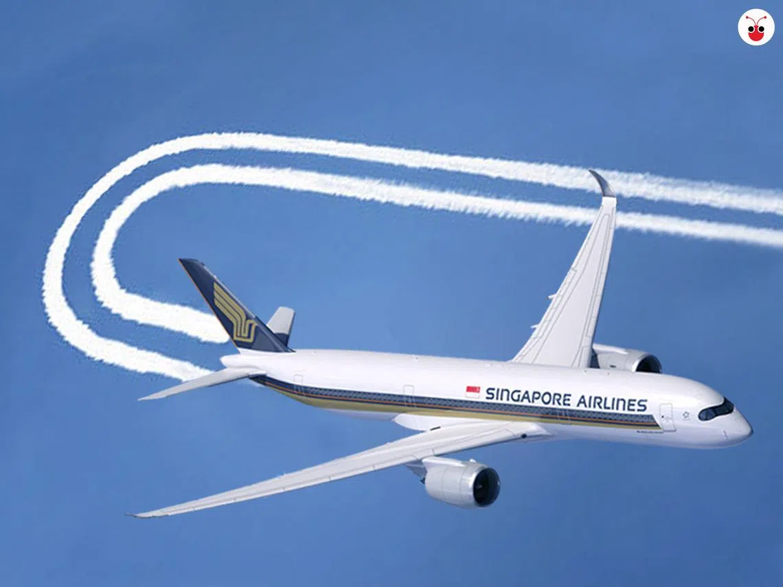 （谢静怡制图）