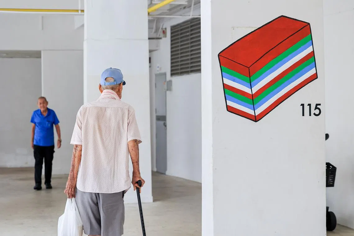 乐龄SG计划旨在帮助年长者维持活跃生活、社交联系，以及在社区内得到适当护理，在熟悉的环境里就地养老。 （联合早报）