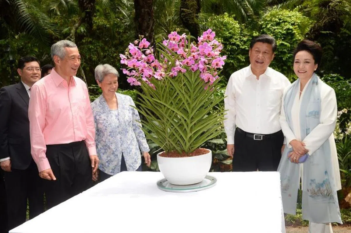  习近平—彭丽媛兰花。（国家公园局官网） 