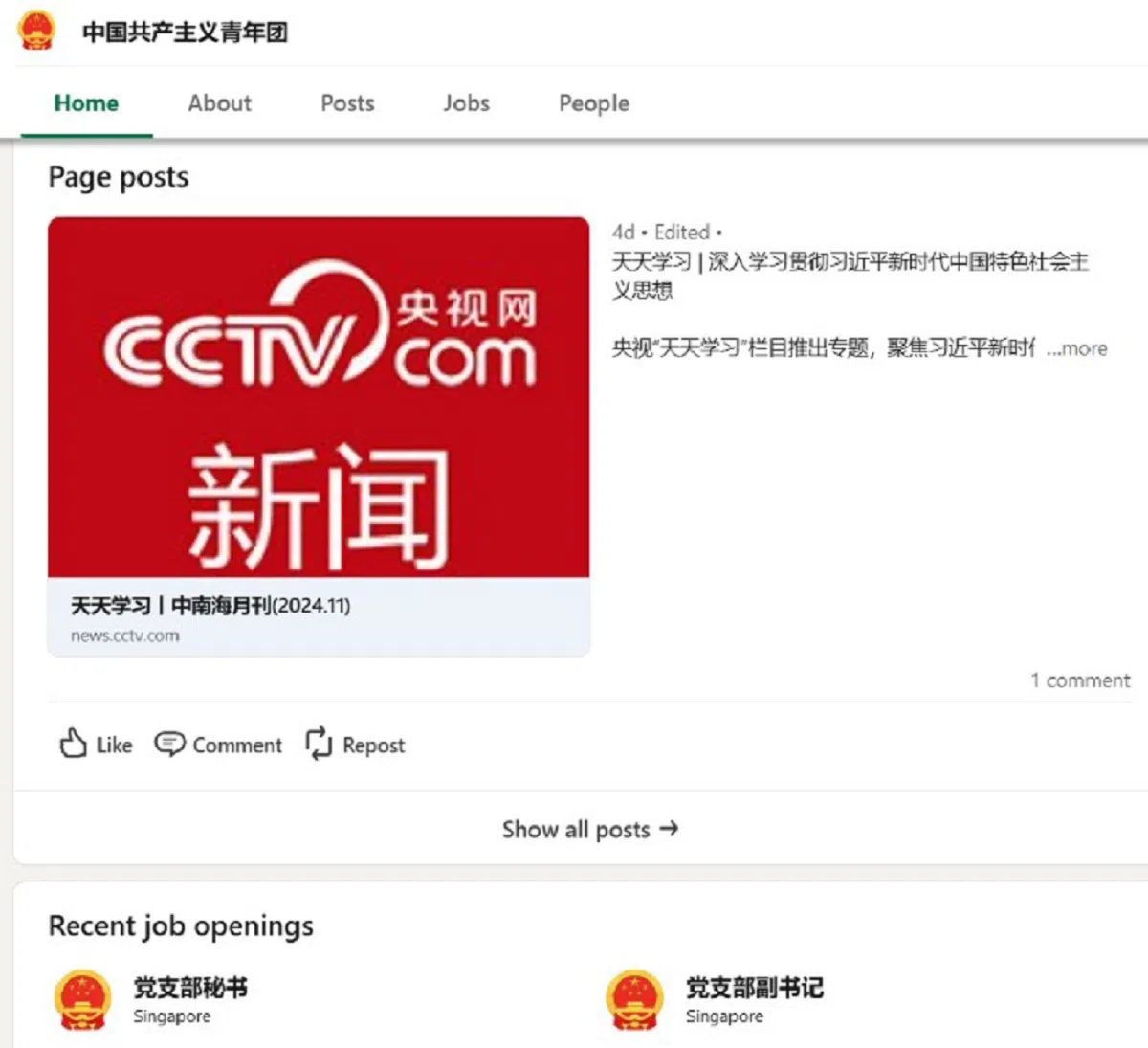 连个职位显示为：党支部秘书和党支部副书记。（领英截图）
