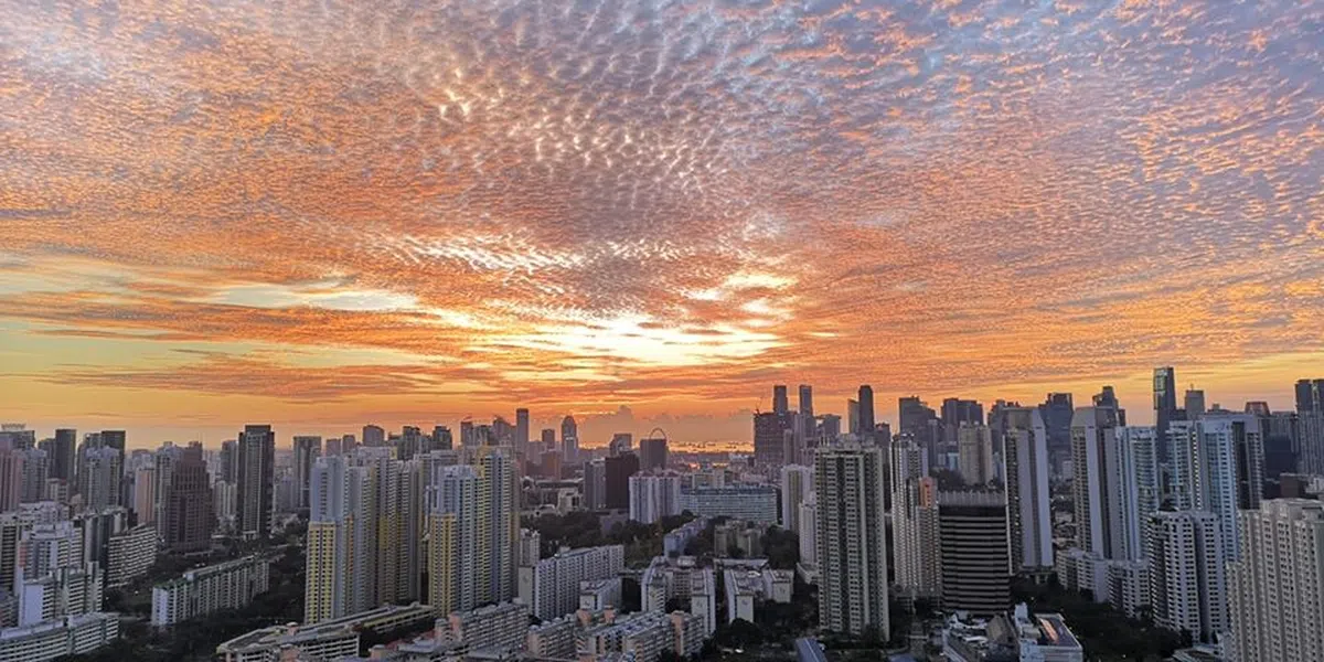  （取自Jesslyn Tan面簿） 