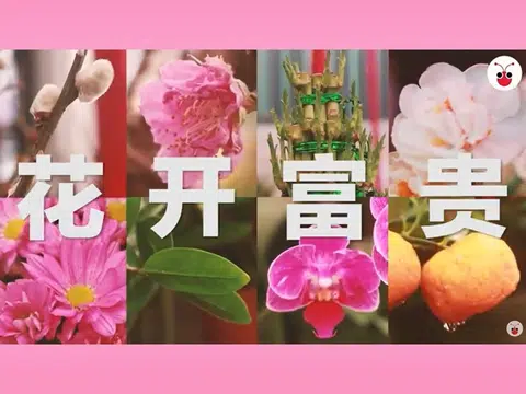 祝大家笑颜如花、花开富贵。