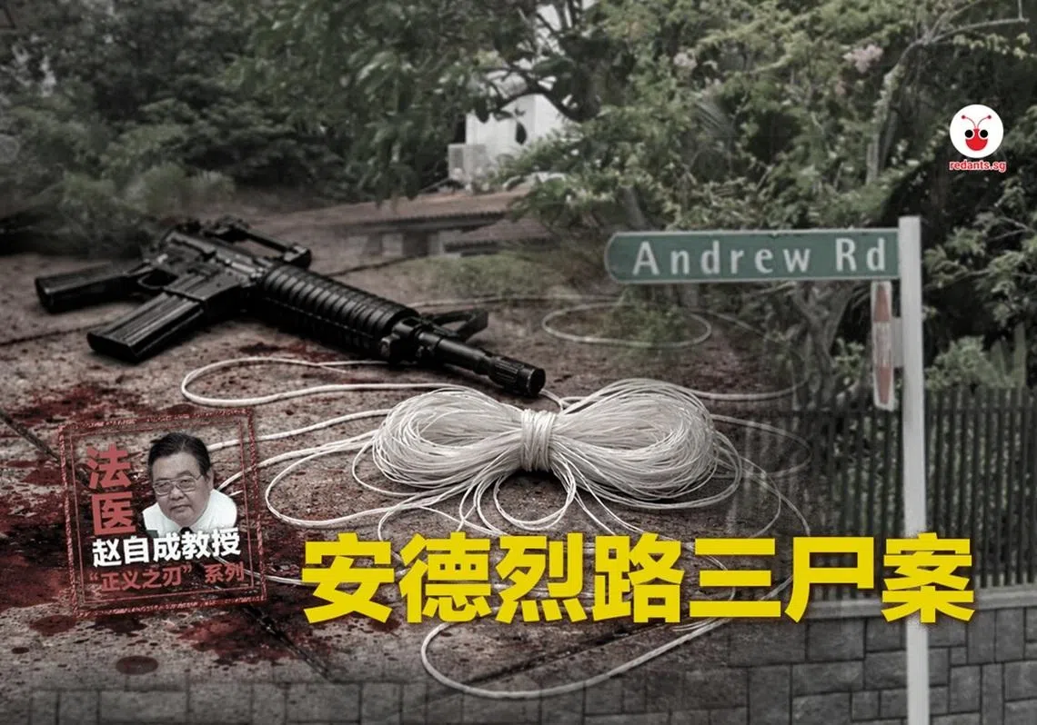 （林慧彦制图）