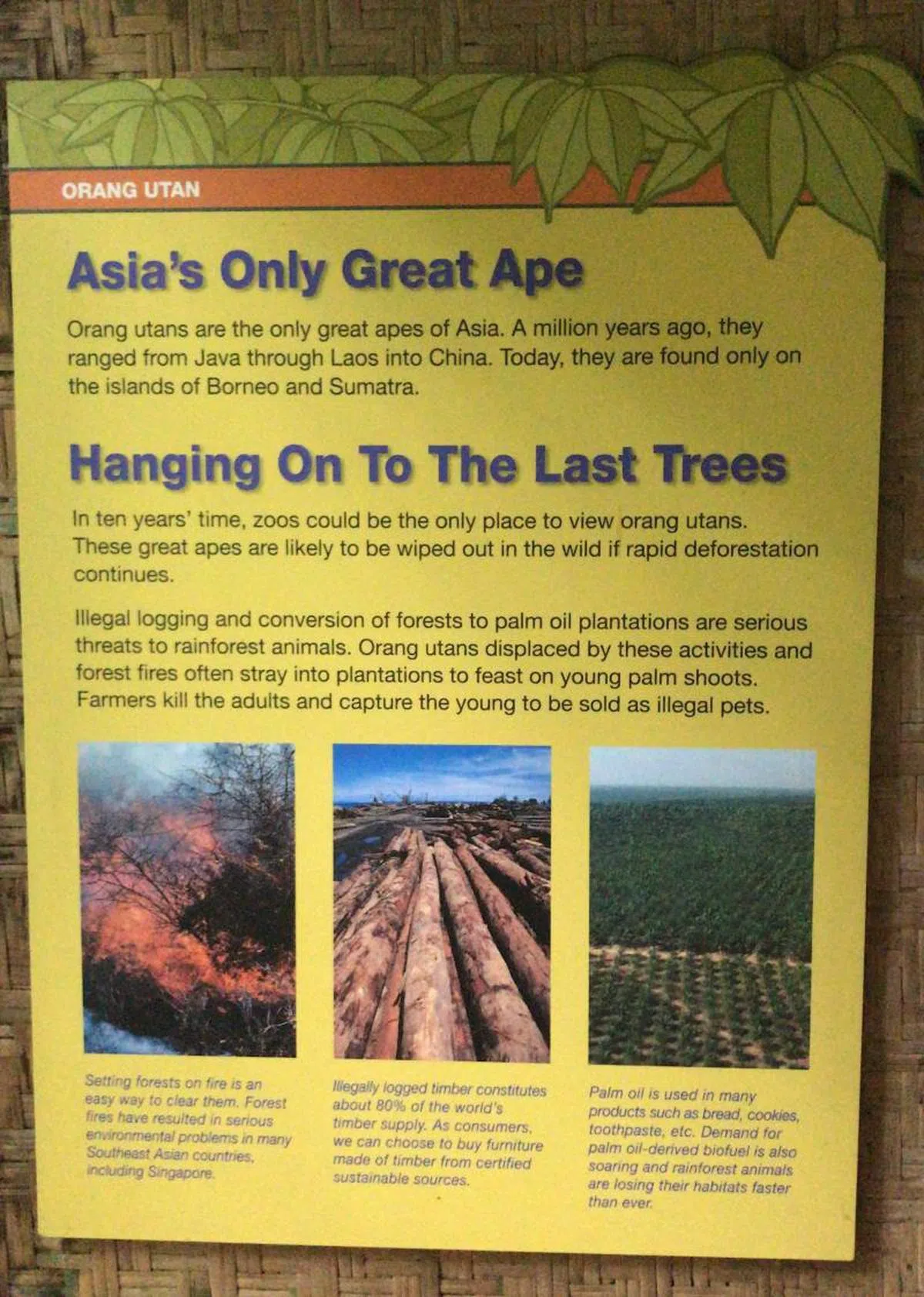  让郭素沁感到极度失望的就是这块展示牌上的内容。（亚洲新闻台） 