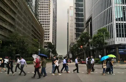 蚁粉每周有几天得回公司上班？（联合早报）