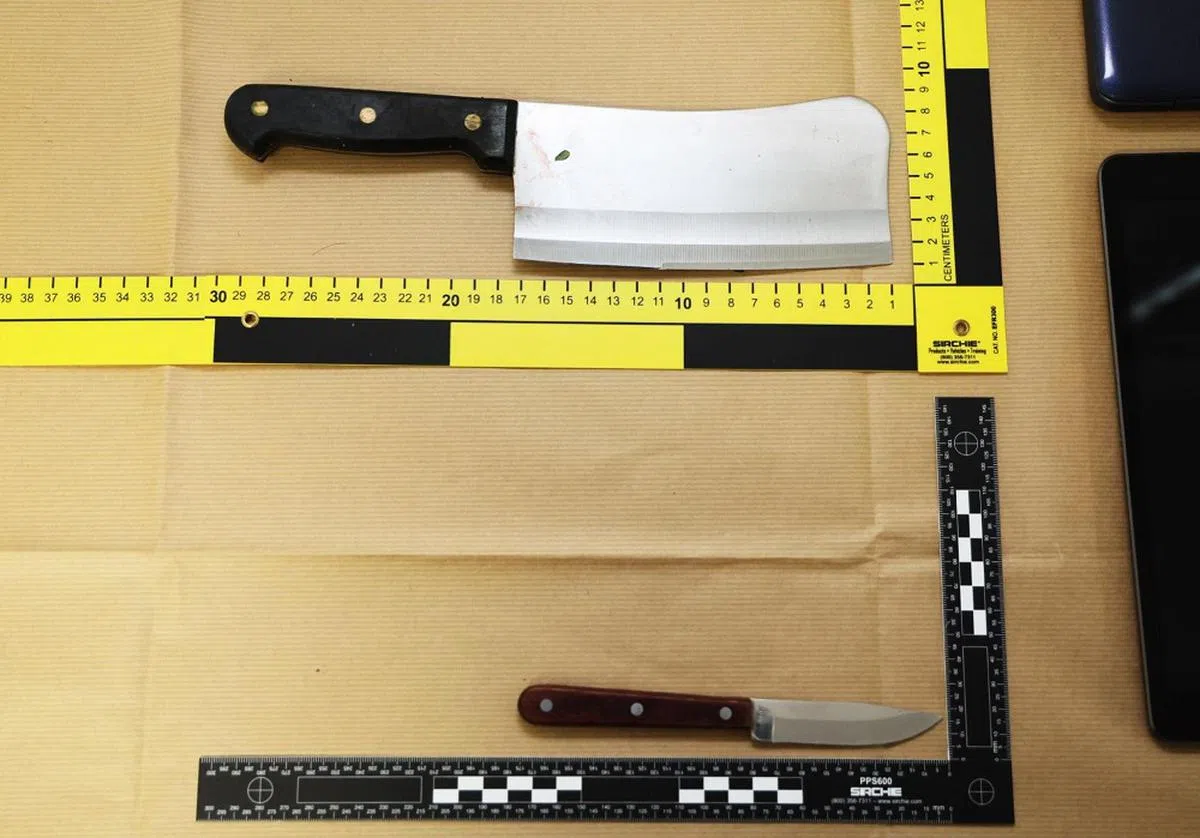 曾有议员提问，能否在学校、公共场所，及商业场所，全面禁止公众持刀。（海峡时报）