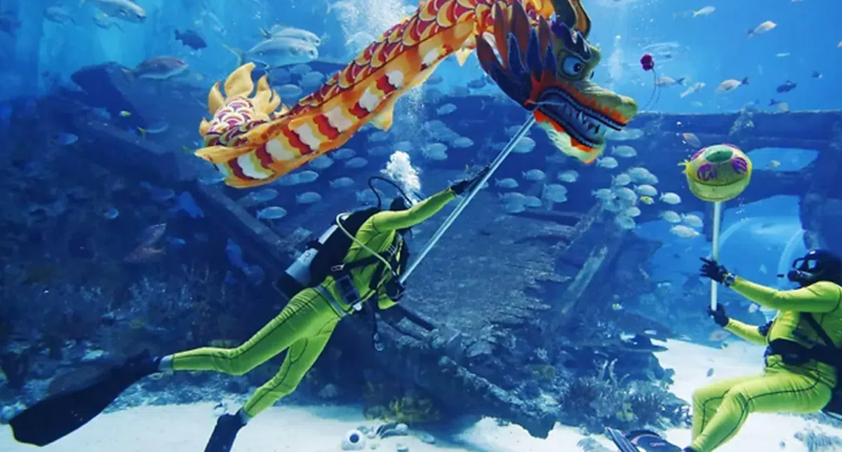 圣淘沙名胜世界的S.E.A海洋馆，每天下午呈现“海龙秀”。（S.E.A海洋馆提供）