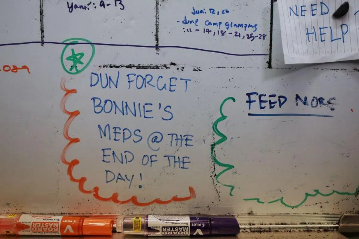  在企鹅展区的版上，写着提醒饲养员要给一只年迈的洪堡企鹅Bonnie喂药的留言。（海峡时报） 