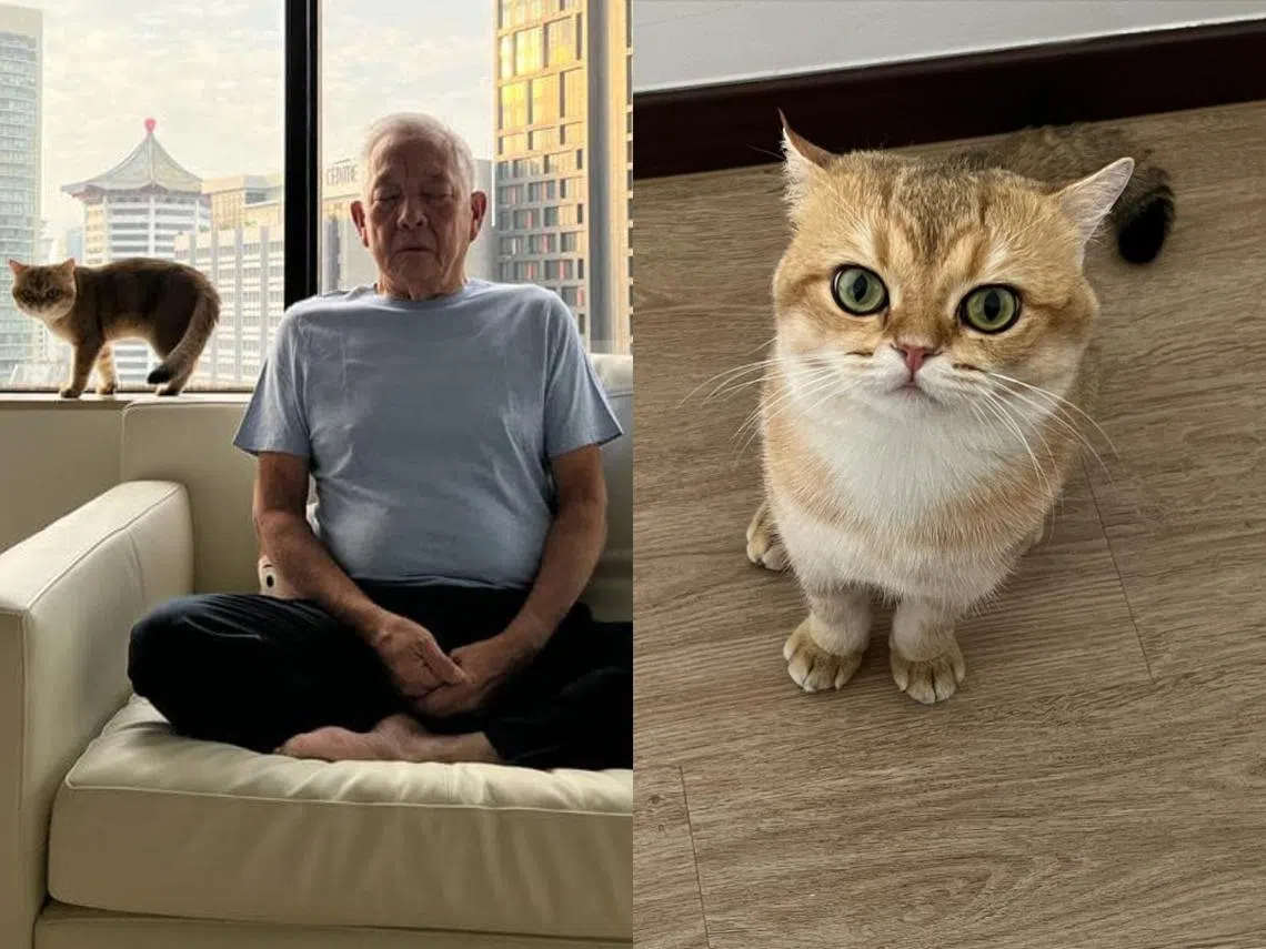 黄国松和未婚妻刘以真共同抚养的儿子“Max”。（取自黄国松Instagram）