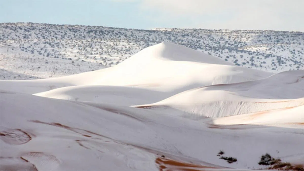  非洲撒哈拉沙漠今年再出现罕见披雪奇景。阿尔及利亚西北部小镇艾因塞弗拉（Ain Sefra）周日凌晨落雪，当地人录得多达40厘米的降雪量，也是该镇是40年来的第三次下雪。（互联网） 