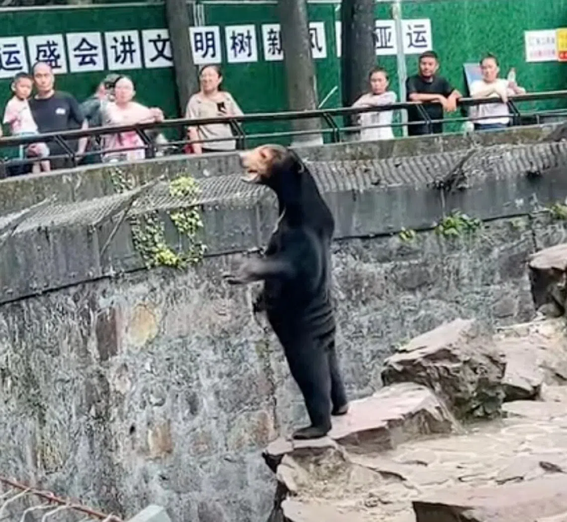 设计对白：“你们专程来看我，我当然要起立欢迎你们啊！”（视频截图）