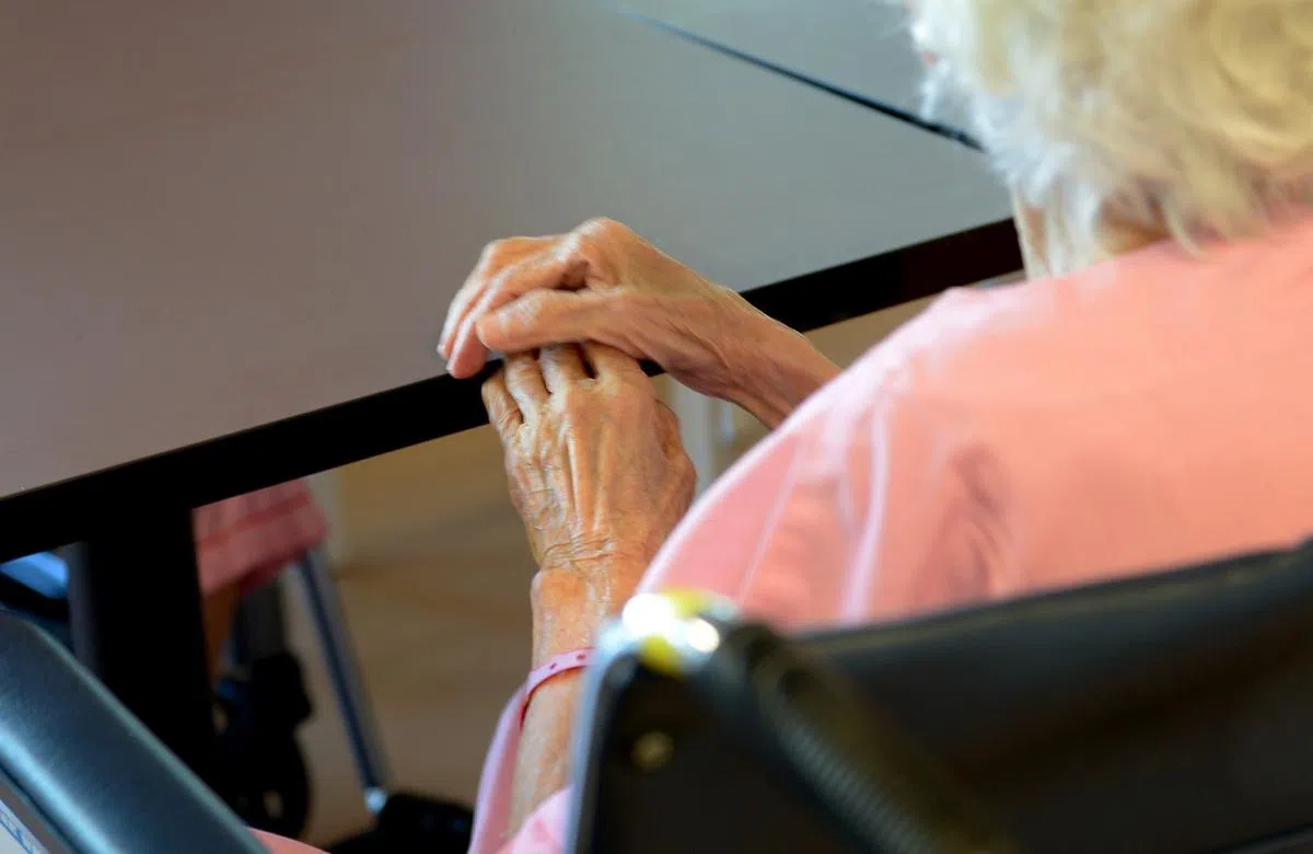  （马来报《每日新闻》） 