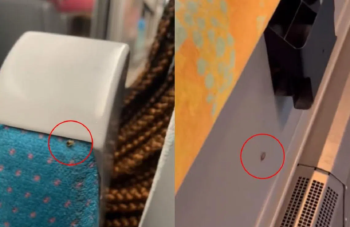 法国地铁、高铁及巴士乘客拍到臭虫在座位上爬行。（取自X／红蚂蚁制图）