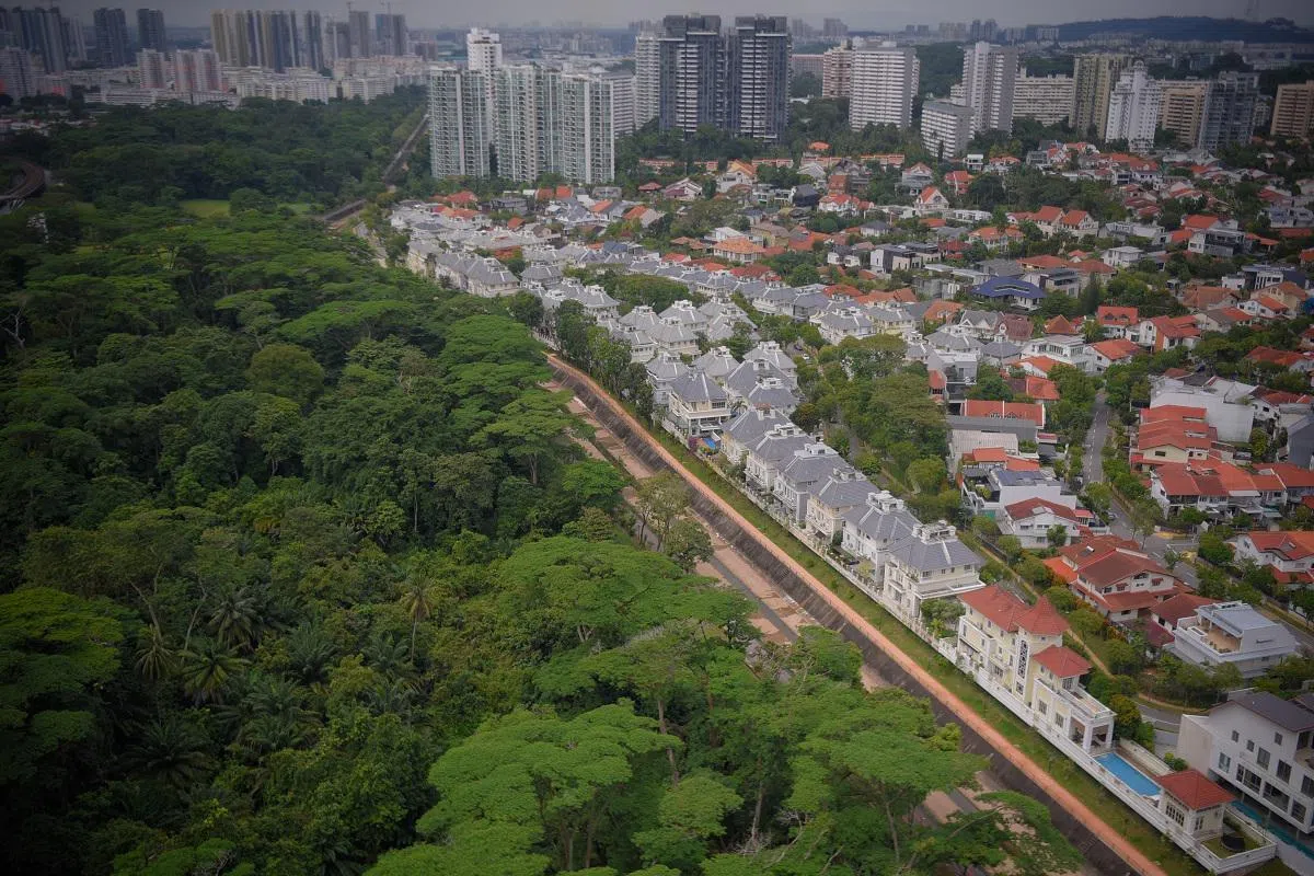  左边的绿化地带就是位于乌鲁班丹，面积33公顷的杜弗森林（Dover Forest）。（海峡时报） 