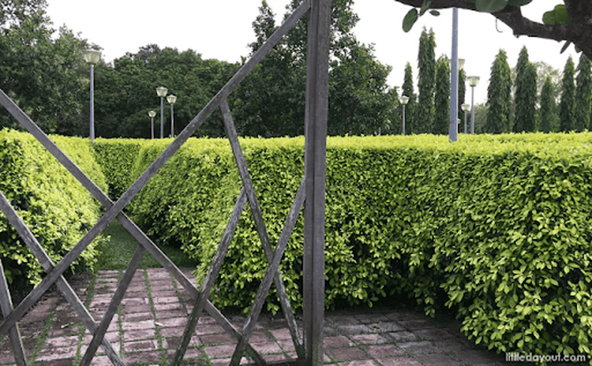  利用成人高的灌木丛形成的迷宫，没有地图的帮助下你走得出来吗？（littledayout） 