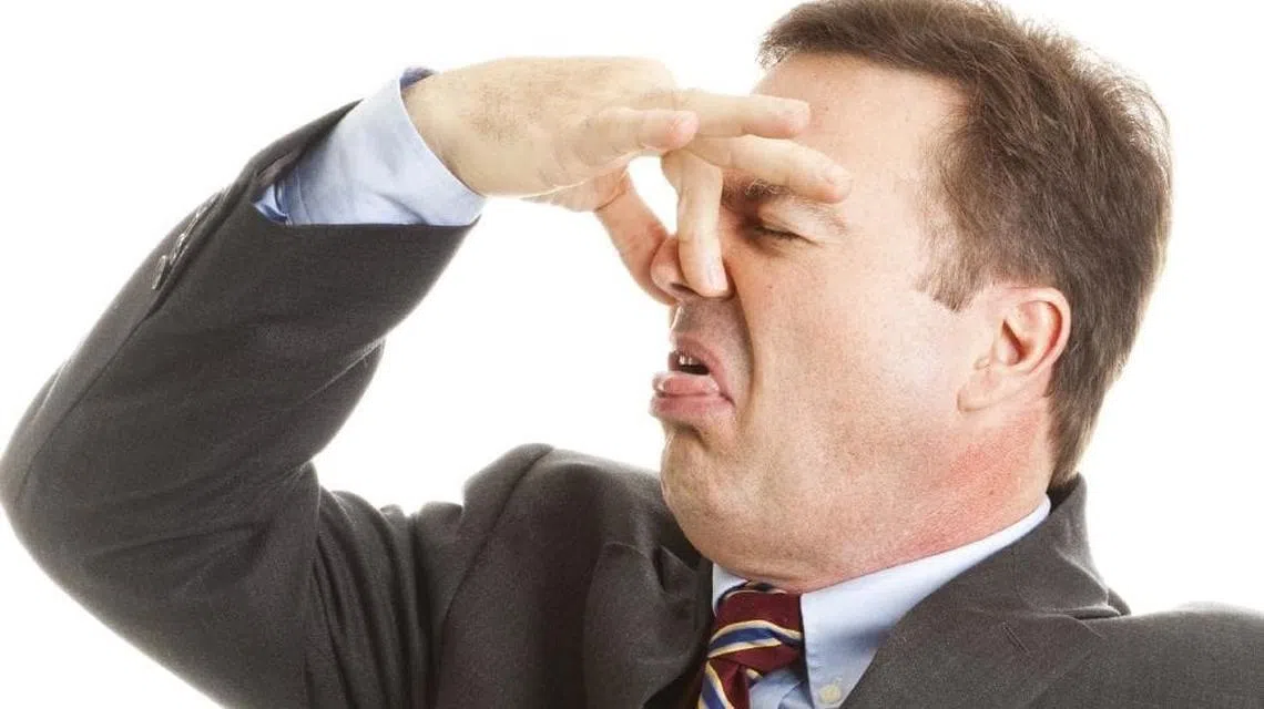 臭到半死。（取自《先驱太阳报》）