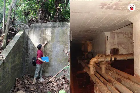 马西岭地下隧道是日据时代至今，新加坡保存最完整的二战历史遗迹之一。（联合早报 / 红蚂蚁制图）