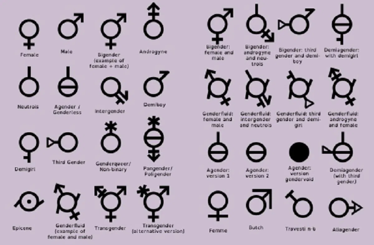  网上流传的32种不同性别的代表符号。（互联网） 