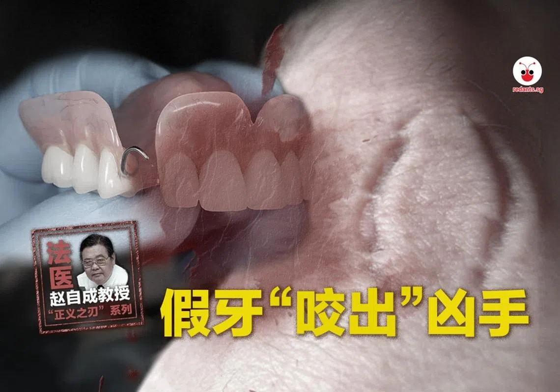 （林慧彦制图）