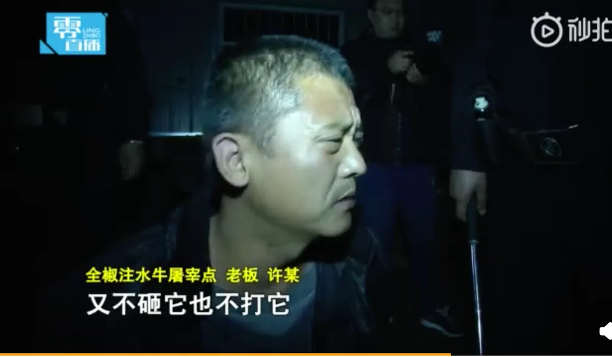  老板许某表示牛没那么难受。 