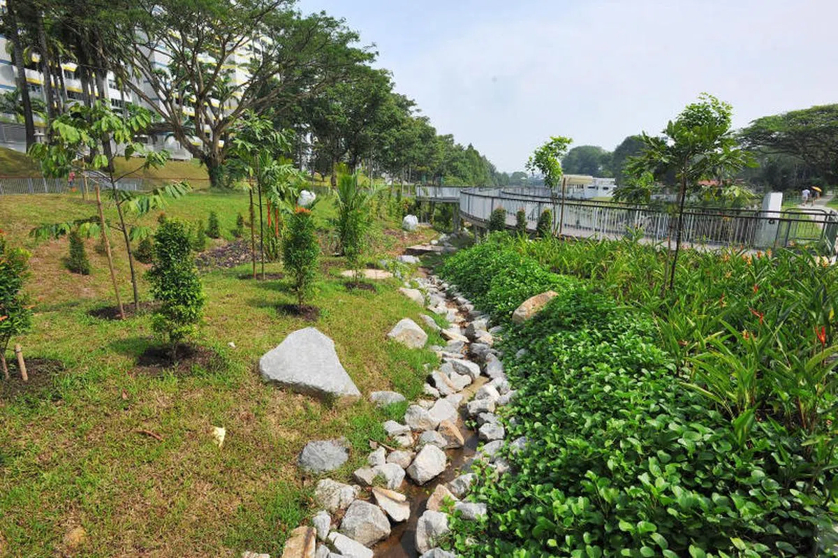 位于金文泰圈的植被洼地，原本20公尺长的沟渠被改造成一片植被洼地，相等于一条自然溪流，能够起到收集与排放雨水和地表径流的作用，协助清除水中体积较大沉淀物。（海峡时报）