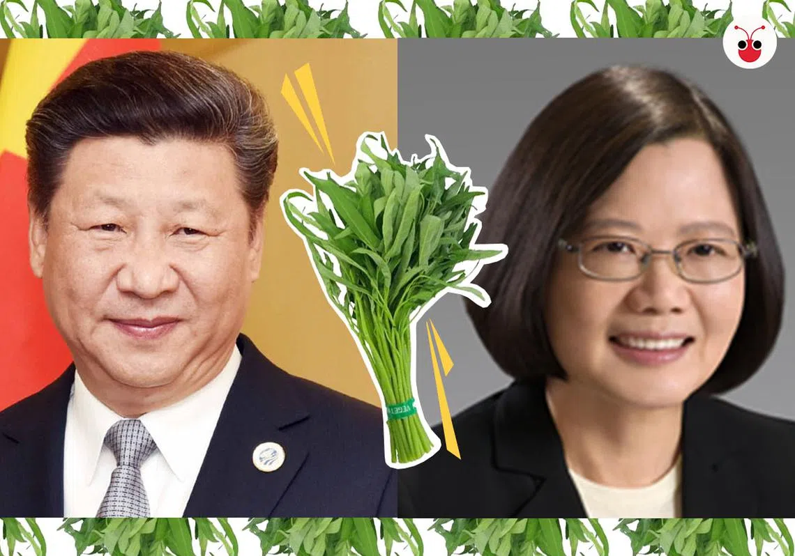 习近平（左）与蔡英文。（曾庆祥制图）