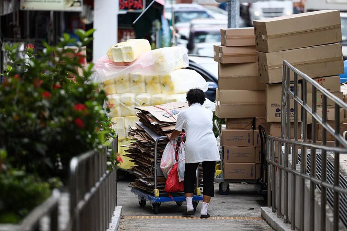 本地一些贫困老人选择以收纸皮为生。（联合早报）
