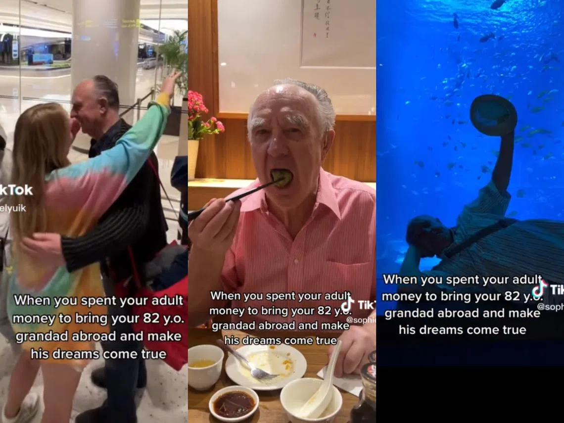 （取自TikTok账号sophielyuik）