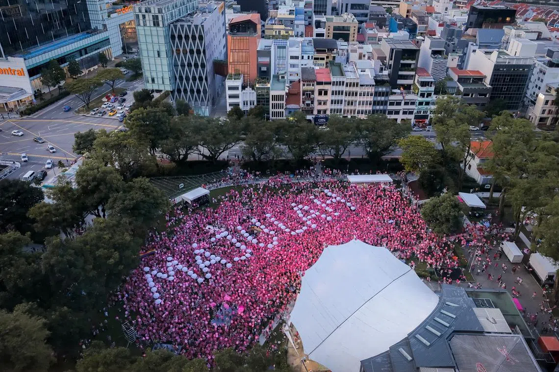 因疫情停办两年，迈入第14个年头的“粉红点”集会上周末在芳林公园举行。（海峡时报）