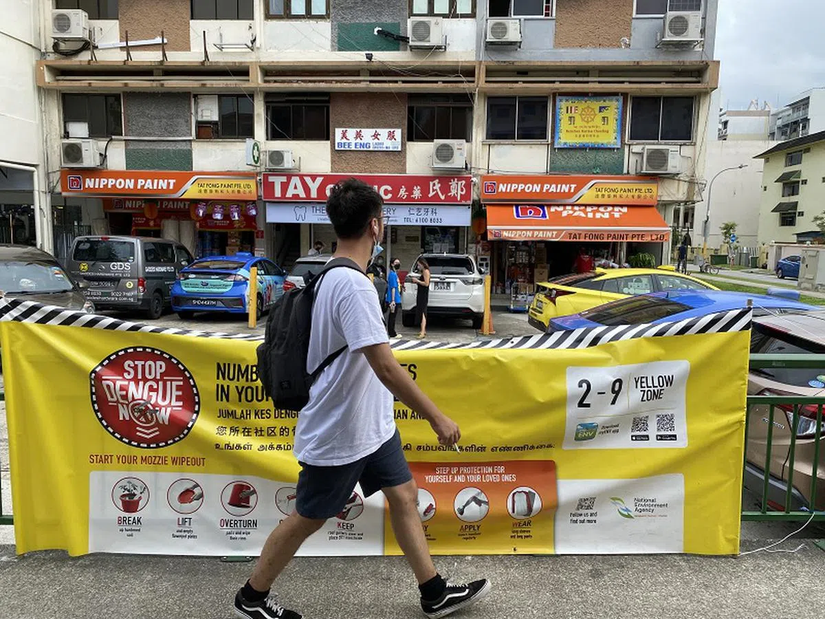 全球129个国家存在染上骨痛热症的风险，当中七成在亚洲。（海峡时报）
