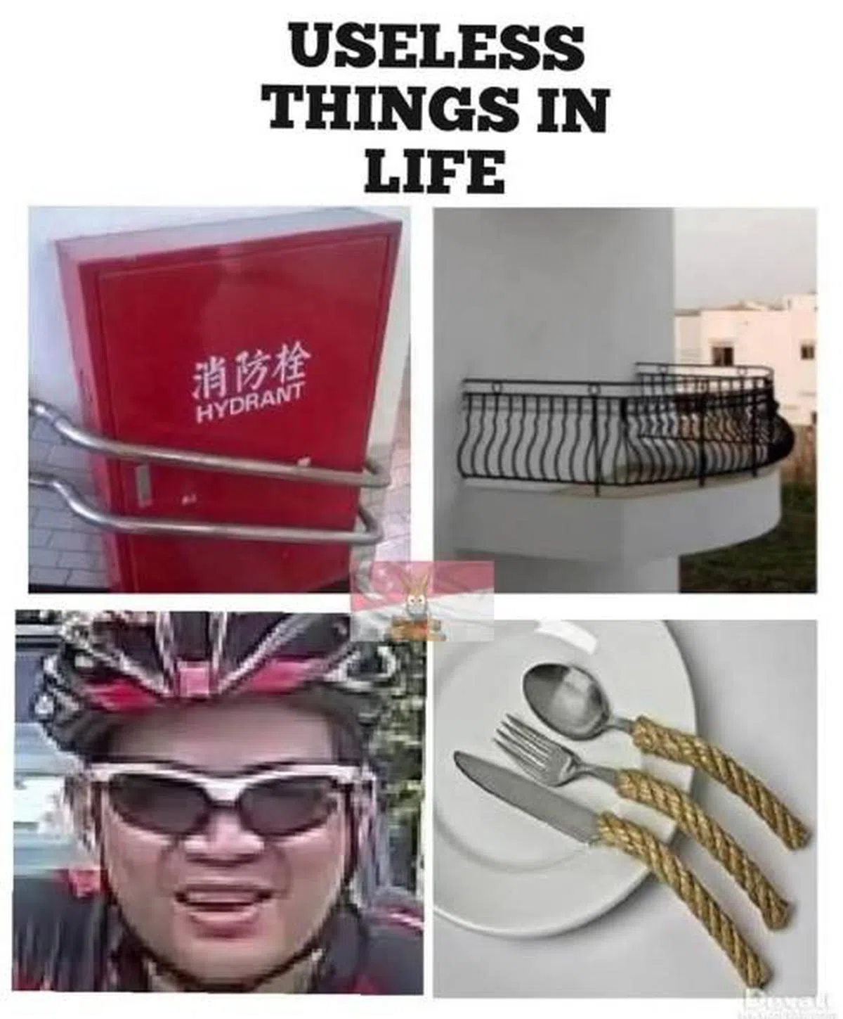  生命中无用的东西。（互联网） 