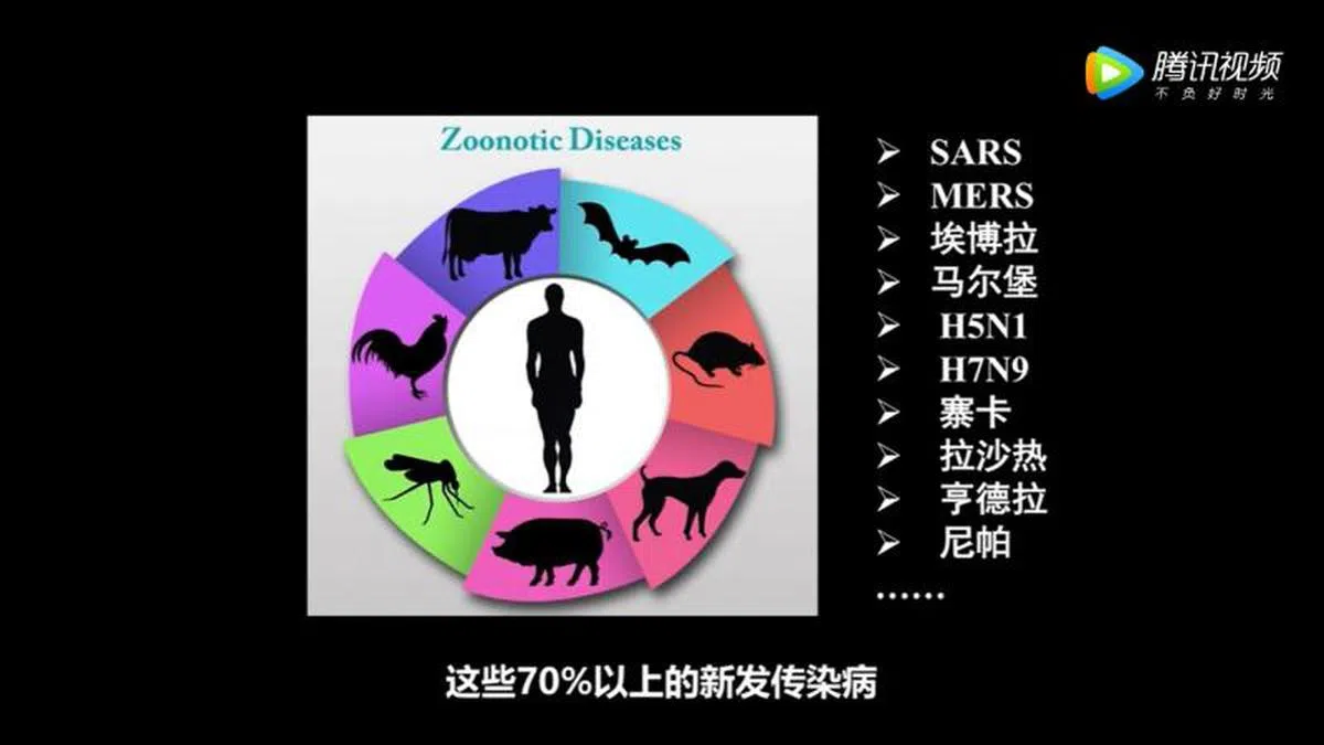 70%以上的新发传染病都来自野生动物。（视频截图） 