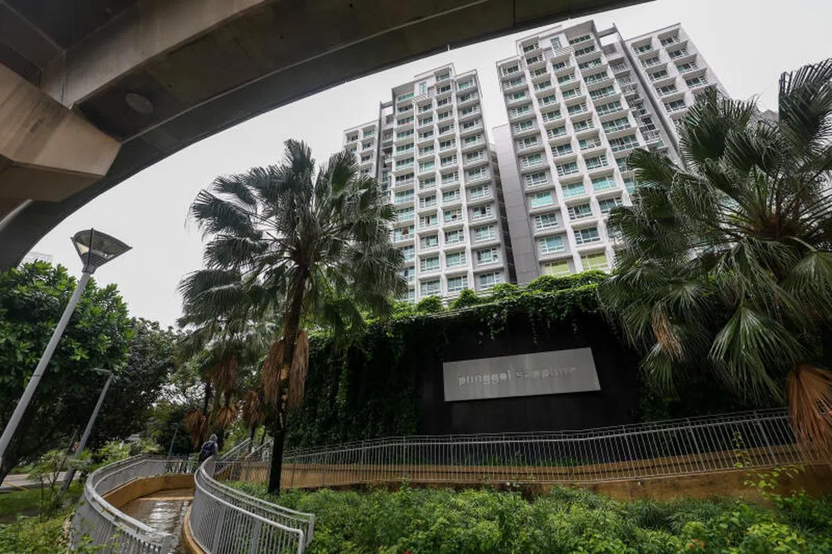 榜鹅Punggol Sapphire一个五房式阁楼单位以119万8000元易手，创今年9月非成熟市镇组屋的最高转售价。（联合早报）